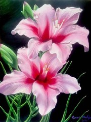 Desire – Framed Original Painting, Pink Lillies Hyperrealism on Black Background