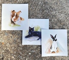 Original 7×7 Custom Hand painted watercolor Pet portraits
