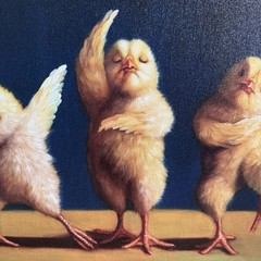 Lucia Heffernan Dancer Chicks Gallery Wrapped Canvas Giclee Wall Art 20 x 16