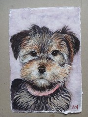Original Small Watercolor Painting 6″ x 4″ Yorkshire Terrier Puppy NOT A PRINT