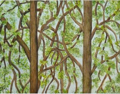 PAINTING WATERCOLOR 11X14 & MAT 16X20 TREES LANDSCAPE GREEN SPRING ORIGINAL ART