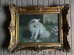 Beno Boleradszky ( 1885- ) – White persian cat – Antique painting