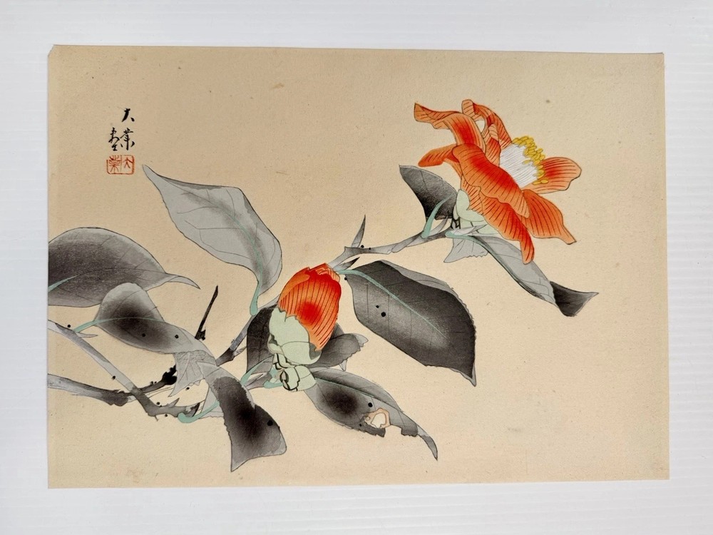 Vtg Japanese Woodblock Print Camellia Flower Blossom Art Red Seal Signed 10×14”