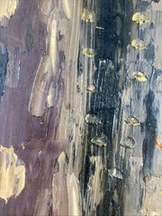 Vintage Original Oil Painting Cityscape Skyscraper Architecture NYC Signed 1962