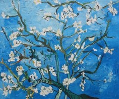 20×24 Almond Blossoms By Van Gogh Oil Painting Post Impressionism Flower