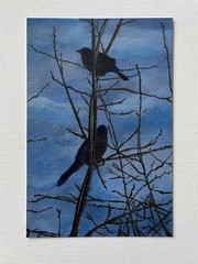 Blackbird Original Acrylic Painting Birds In Tree Moody Nature Art 4 x 6 in