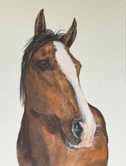HAND-PAINTED CUSTOM PET PORTRAIT, cat portrait, dog portrait, gift for pet lover