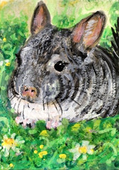 ORIGINAL ACEO Painting CHINCHILLA Spring Pet Flower Rodent Animal Nature ATC ART