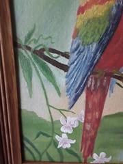 Vintage Framed Parrot With Flowers Painting Signed