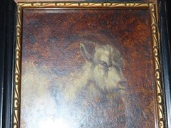 Painting animal portrait „goat“ goat! unsigned!
