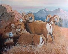 Original oil painting wildlife Bighorn sheep mountains sunrise Carol Proebstel