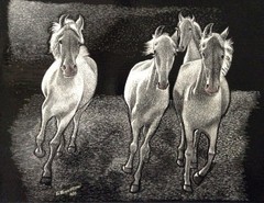 Here They Go! -Just Having Fun!! Galloping !-Reg. Board 11″x14″ Scratch Signed