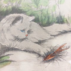 Vintage Drawing & Watercolor Painting of White Persian Cats 1930s Hungary Europe