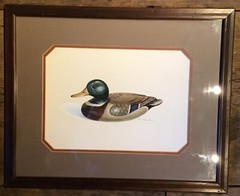WATERCOLOR ON PAPER OF MALLARD DECOY SIGNED RON SAPORITO CT LYME ART ASSN ARTIST
