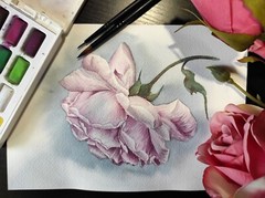 FLOWER PINK ROSE Original Artwork Painting Floral Landscape Art Wall Gift Sig A5