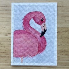 ACEO Original Art Card Watercolor Painting Pink Flamingo 2.5 x 3.5