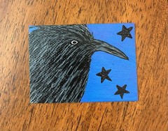 ACEO Original Acrylic Bird Painting 2.5 x 3.5. ~ Star Bright 2