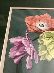 Romilda Dilley Original Gouache Floral Painting Signed Cincinnati Artist