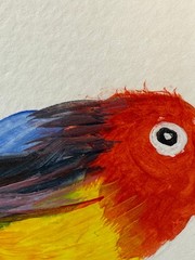 ACEO/ATC Original Acrylic Bird Mini Painting „Haw’n Honeycreeper“ Signed 3.5×2.5