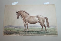 antique 19th century West American Mustang horse realism watercolor painting art