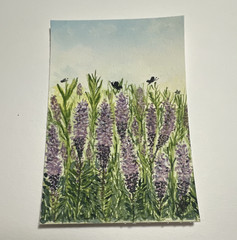 Original ACEO Watercolor Lavender Wildflowers Butterflies Floral OOAK ATC Art