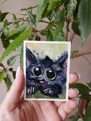 Original ACEO Oil Painting Set Black Cats Miniature Art OOAK Cat Collection