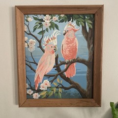 VTG 1950’s MCM Framed Paint By Number Cockatoo Tropical Bird Painting 22”X 19”