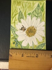aceo original art painting Coneflower And Beetle