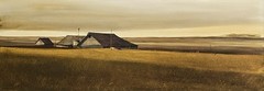Mark Launer American Vintage Great Plains Rural Grassland Barn Modern Landscape