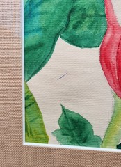 Matching Pair 1949 Original Watercolor Botanicals – Shell Ginger & Calla…