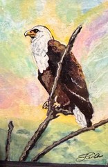 ACEO “Sunset Eagle” Acrylic Painting By Sheila Lofgreen