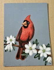 ACEO Red Cardinal with White Flowers Original Bird Art Acrylic on Paper Signed