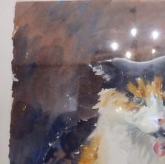 Deb Zeller Signed Water Color Painting Sitting Calico Cat Kitty 11 X 15 Midwest