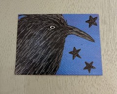 ACEO Original Acrylic Bird Painting 2.5 x 3.5. ~ Star Bright 2