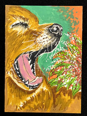 ACEO Original, Abstract Yawning Dog, Mini Art Painting, by Annibbie