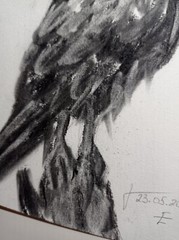 Original Painting Black raven Drawing Wall Art 6 x 8″