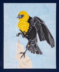 Original Painting, Yellow-Headed Blackbird , Marker Pen, 5.5×7 by thebeebofiles