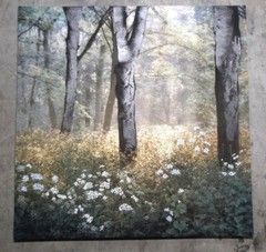 Kirkland’s 40 x 40 Large Canvas Forest Morning 40x Painting Beautiful