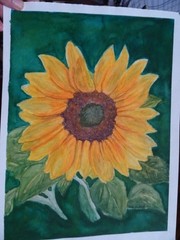 Original watercolor painting of Sunflower/Signed and dated – 14 5/8″ X 11″