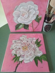 Original Oil Painting White Peony Flower Coral Pink 12×12″ Square Canvas Signed