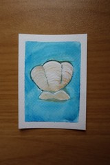 aceo original shell ocean water blue seashell nature „A Shell“ Kylie Jones
