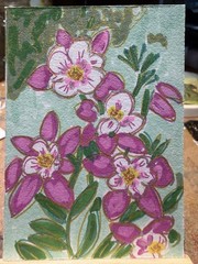 ACEO Original, Signed, Pink Columbine, Pink Flowers. Artist; one anxious Lady
