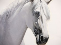 Framed Oil Painting, White Horse Portrait, Signed by D J Kim, Korean Art