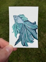 ACEO Original blue fish, fancy goldfish, ocean life animal 2.5 x 3.5in