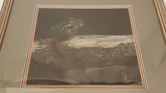 GOLDEN MANTLE SQUIRREL PAINTING SIGNED ELSIE PARK FRAMED 1991 12X13 22X22