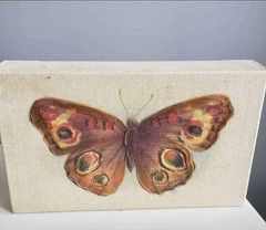 Butterfly and Moth Realistic Acrylic Canvas Painting Set Handmade
