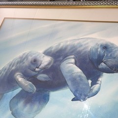 Richard E Williams Signed Lithograph Manatee Calf Frame Art Print Ltd Ed 188/395