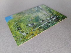 Birch Grove Original Oil Painting, Soft gold Light In summer Landscape Artwork