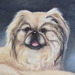 Large Original Oil Pekingese Dog Realism Framed & Signed 23 X 29