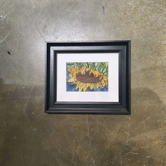 Original Watercolor Painting “ Seeds For Days“ 10″ X 12″ By Timothy Designs